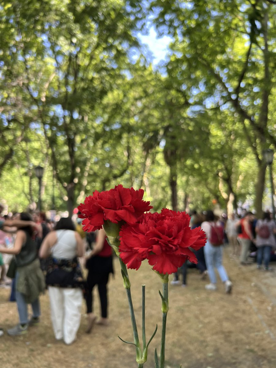 tabitamin | 世界ノマド旅 🍋 tweet media