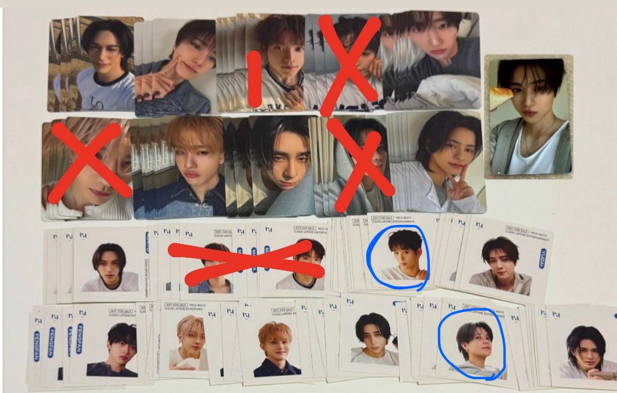 ヒナ tweet media