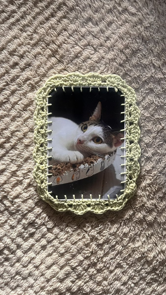 dita 🐇 tweet media