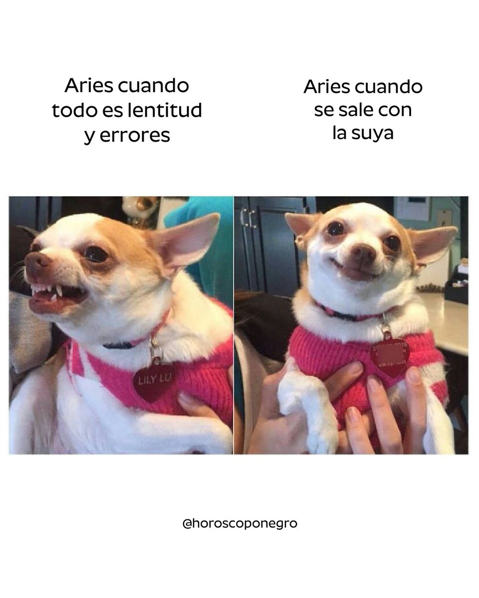 ▲ARIES▲ tweet media