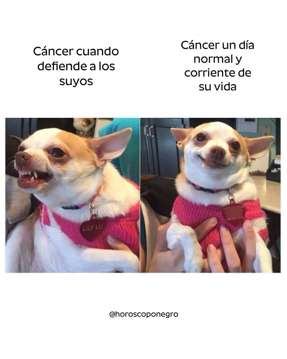 ▲CÁNCER▲ tweet media