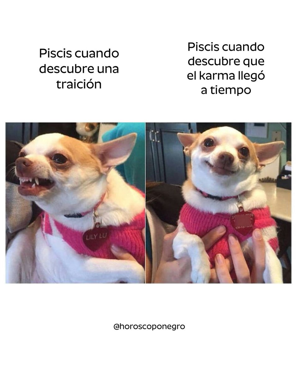 Sí somos 🖤