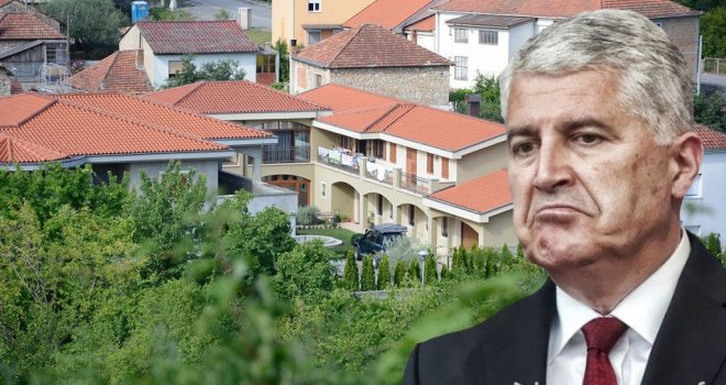 Aleksandar Marton tweet media