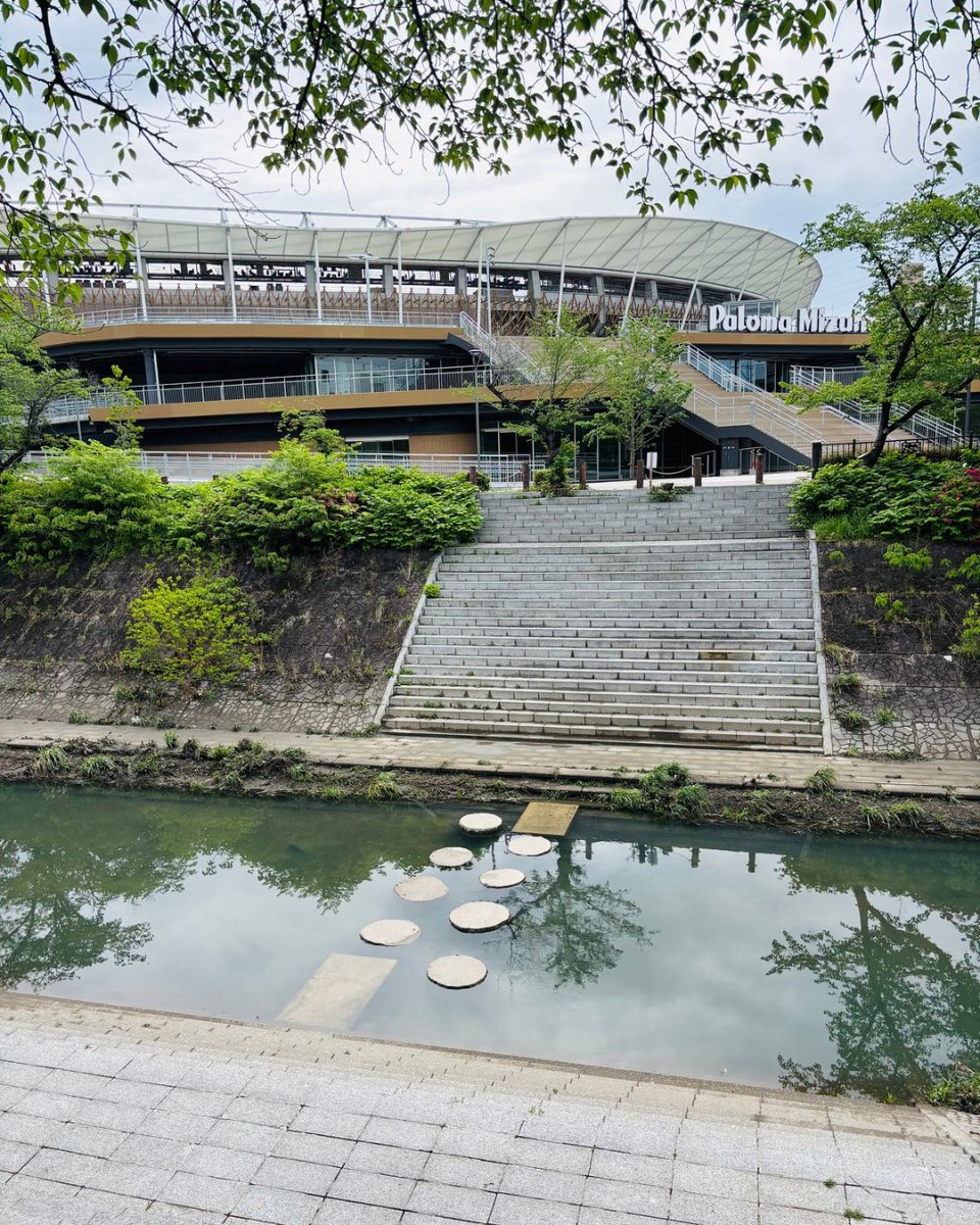 【公式風】タツヲ🏴 tweet media