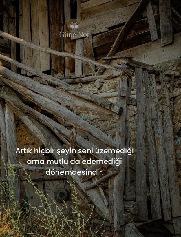 Ardıç Kuşu tweet media