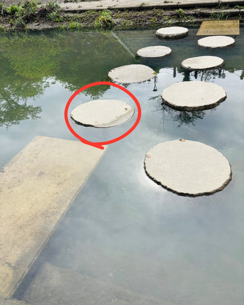 【公式風】タツヲ🏴 tweet media