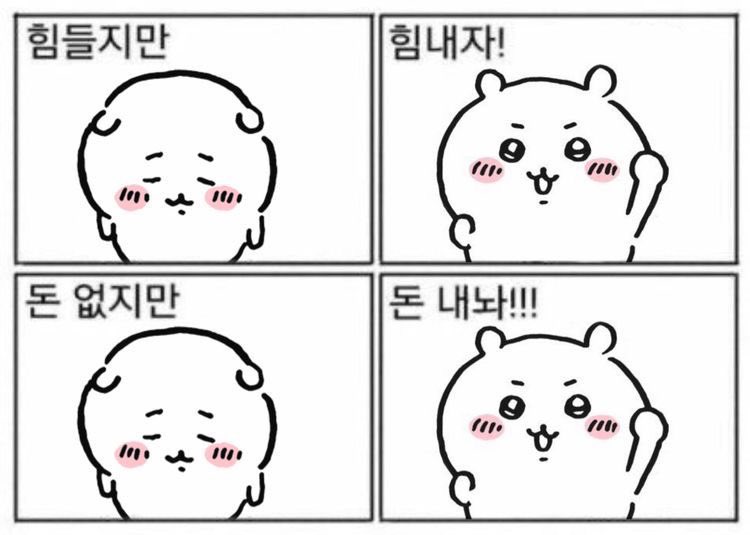 이레 tweet media