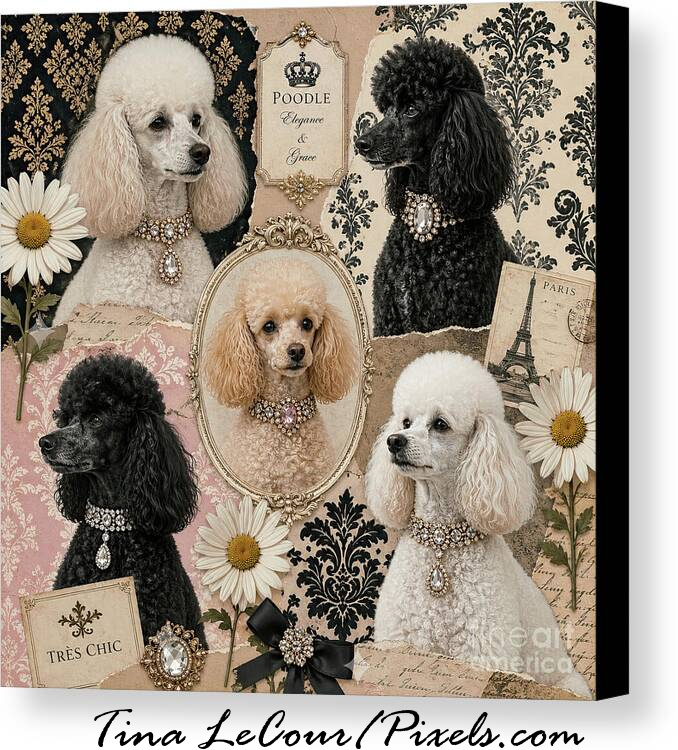TinaLeCour's tweet image. Poodle Elegance...Available here...tina-lecour.pixels.com/featured/poodl…

#dogs #animaloftheday #wallart