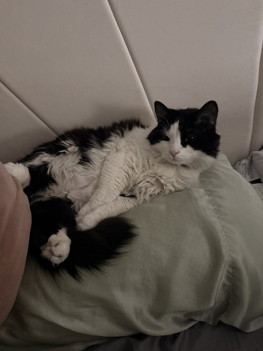 cayerbe_'s tweet photo. Alguien me sacó de mi almohada https://t.co/hjH2aPACdf
