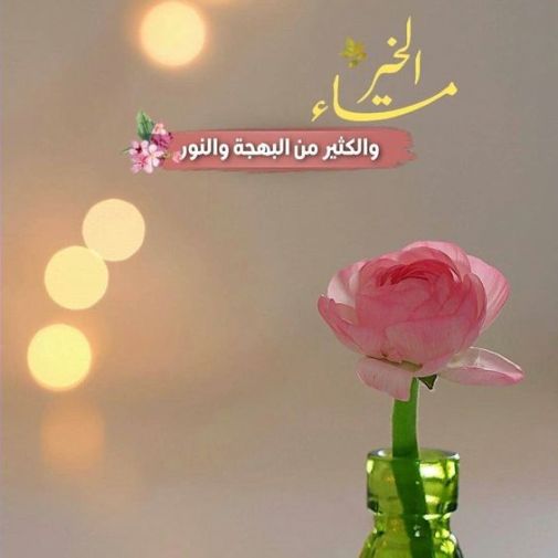 محمد العالمي💙💛 tweet media