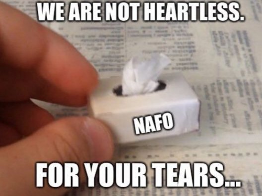 Hoshi Go Tokimitsu tweet media