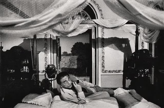 Love of Cinema tweet media