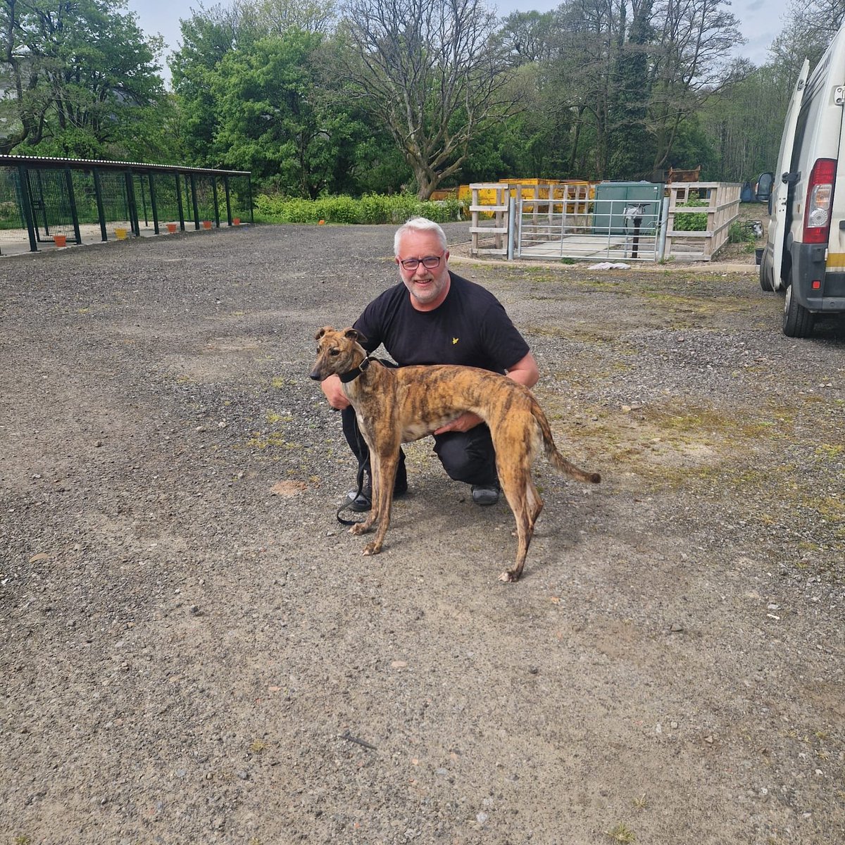 mo_racing's tweet image. Here's our little #puppy First Sight after her #win @TheValleyTrack @GreyhoundBoard #gogreyhpundracing