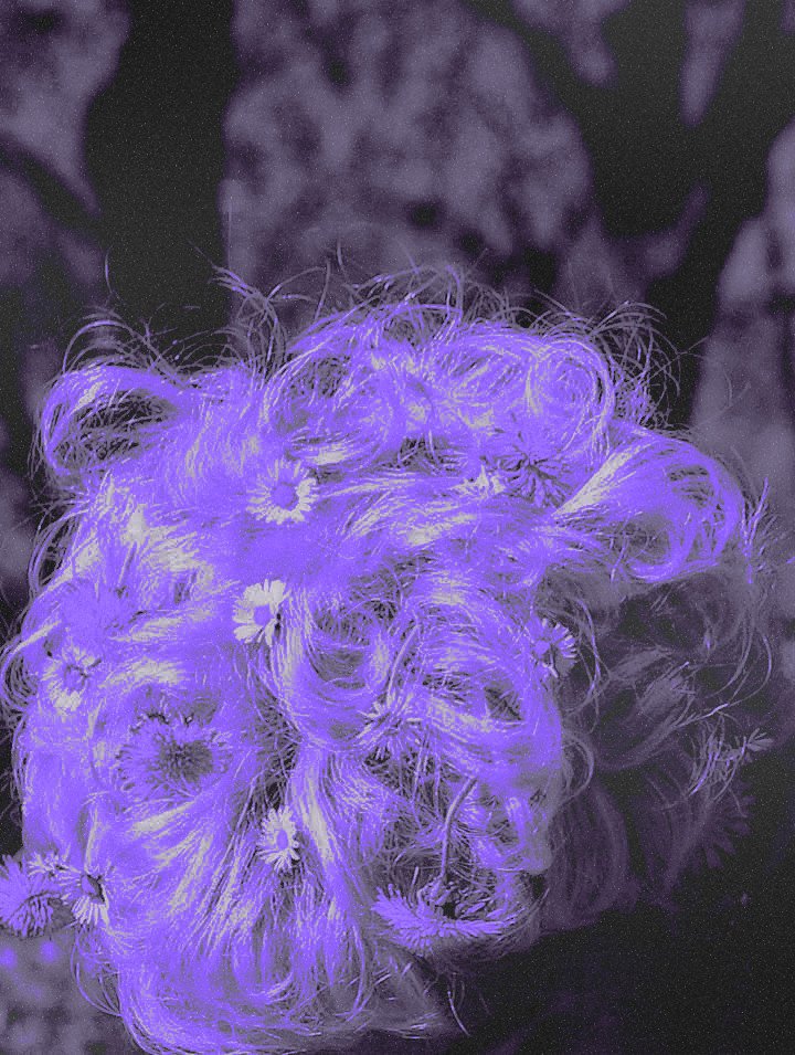 C̶U̶R̶S̶E̶D̶ ̶C̶U̶N̶T̶ 彡★ tweet media