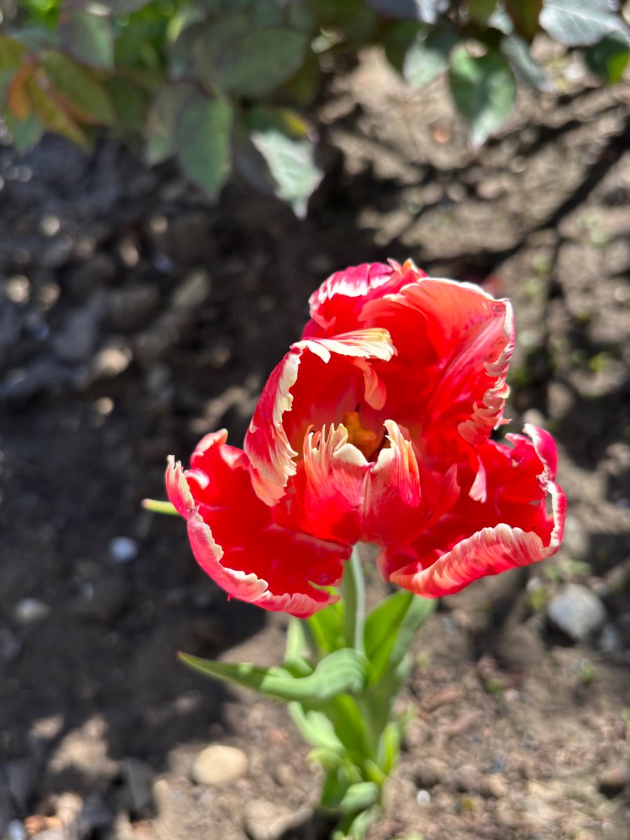 emptiness🐾 tweet media