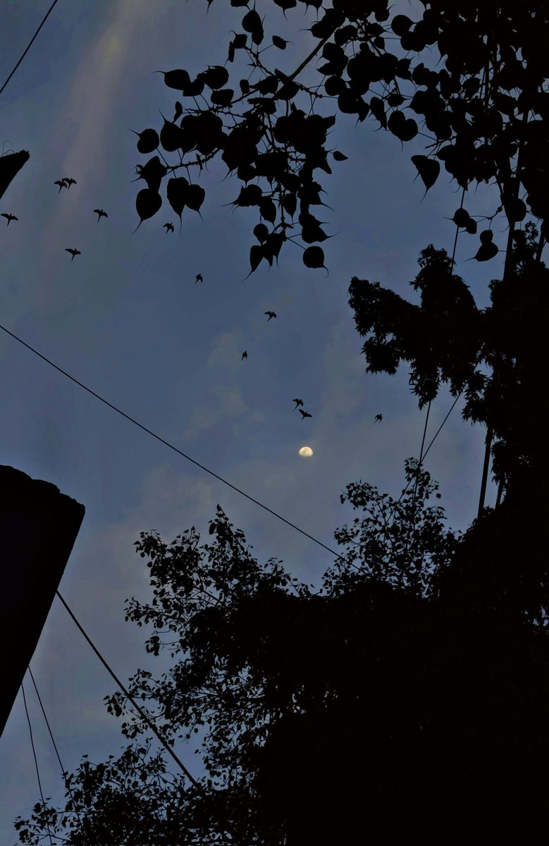 शाम से आँख में नमी सी है
आज फिर आप की कमी सी है
— Gulzar
