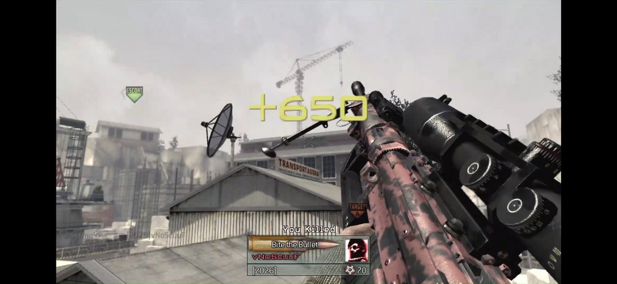 TeK Tzmq tweet media