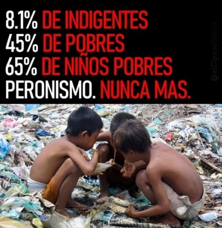 Dany Rigoni tweet media