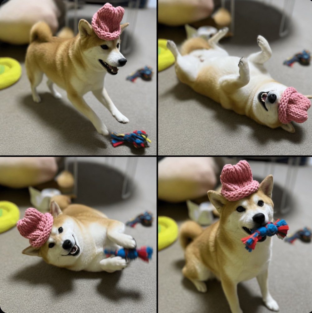 Mr Alan Official tweet media