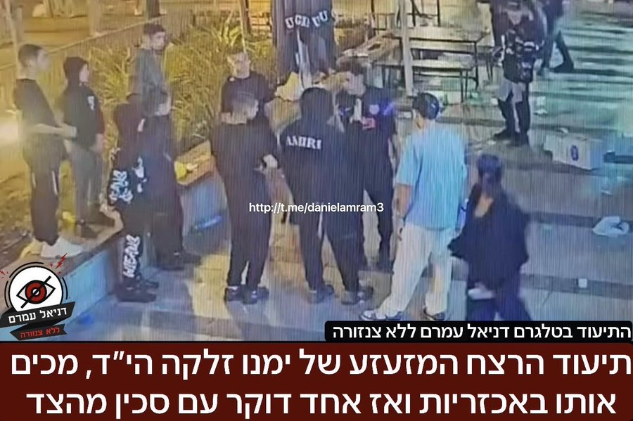 טל לוריא tweet media