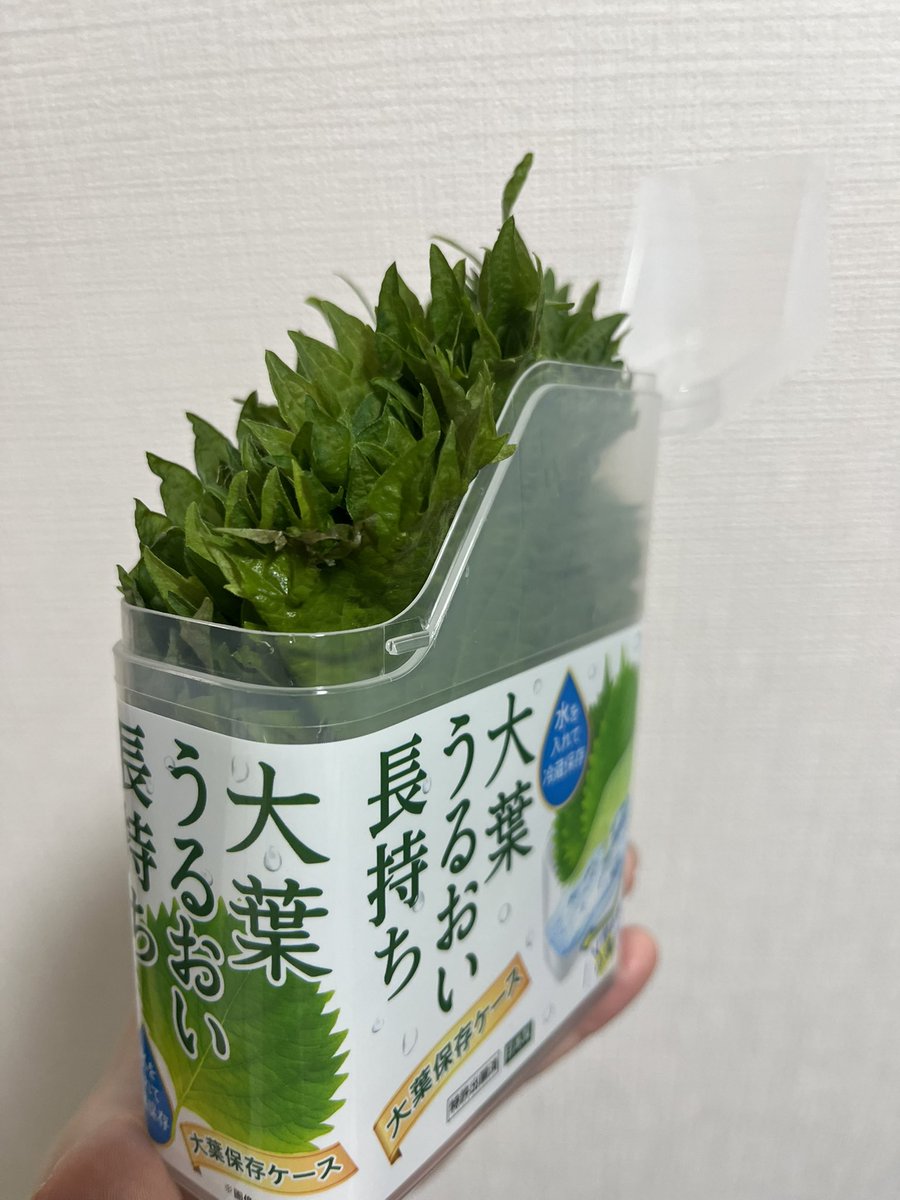ぱぱす tweet media
