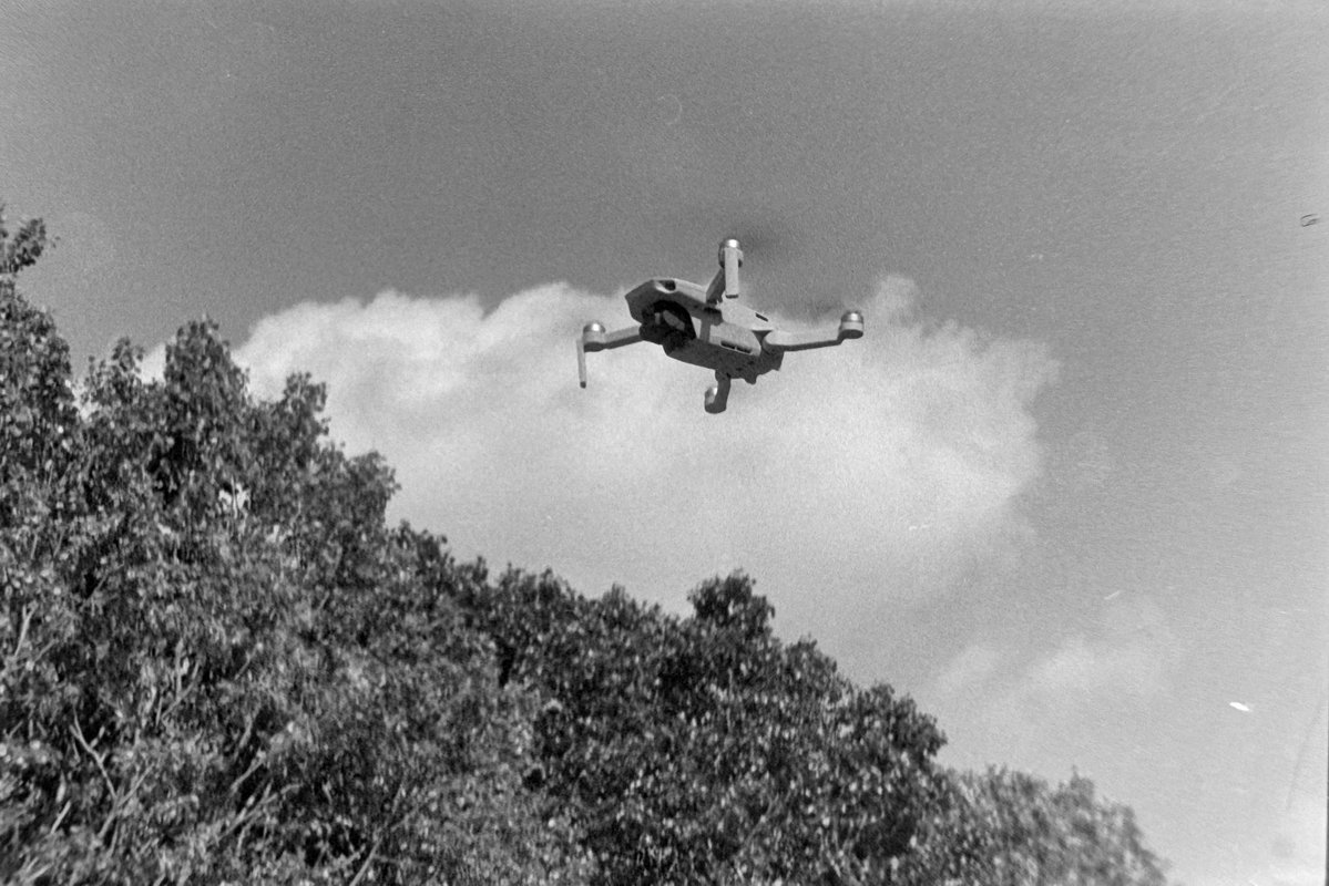 Alpha Lima Aviation tweet media