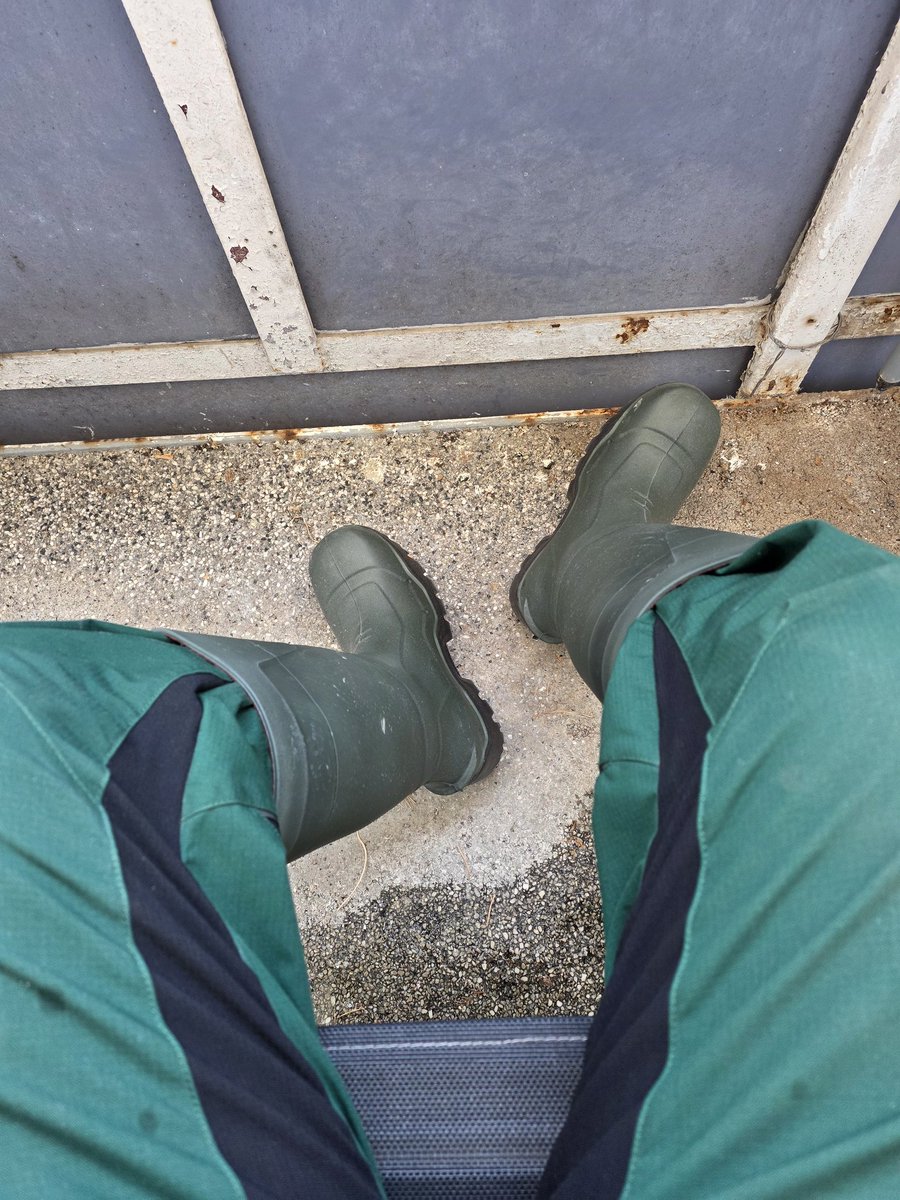 Working at the balcony