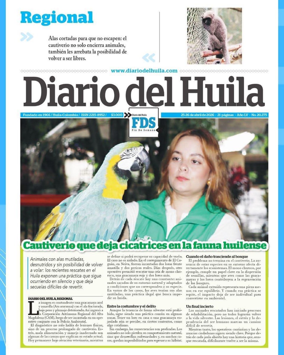 diariodelhuila's tweet image. #DH 📰✨ ¡Arranca el día bien informado con la portada y contraportada del Diario del Huila! 🌞📖

¡Buenos días, lectores! ☀️ Te compartimos la portada y la contraportada del Diario del Huila 🗞️ para este fin de semana del 25 y 26 de abril, con los temas más relevantes que marcan