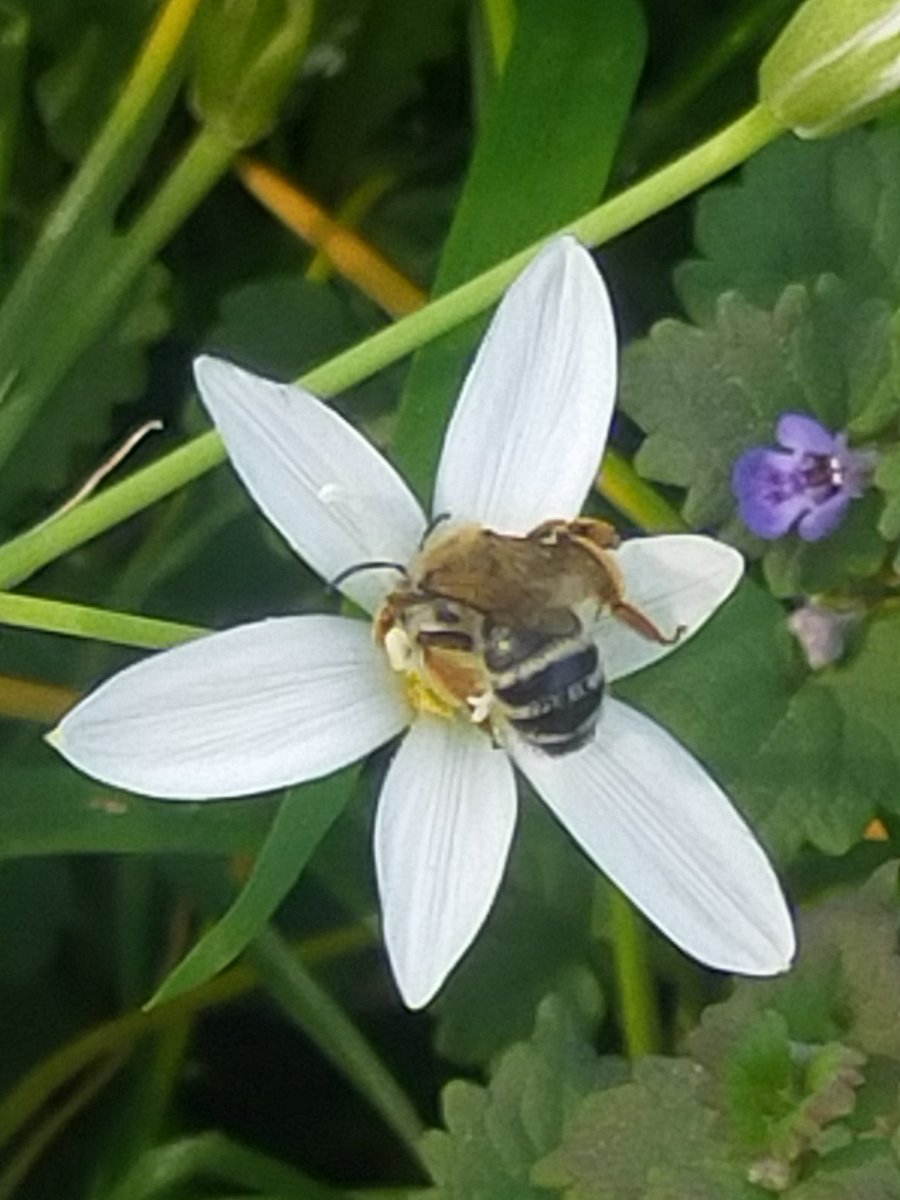 A l'instant elle se régale #nature