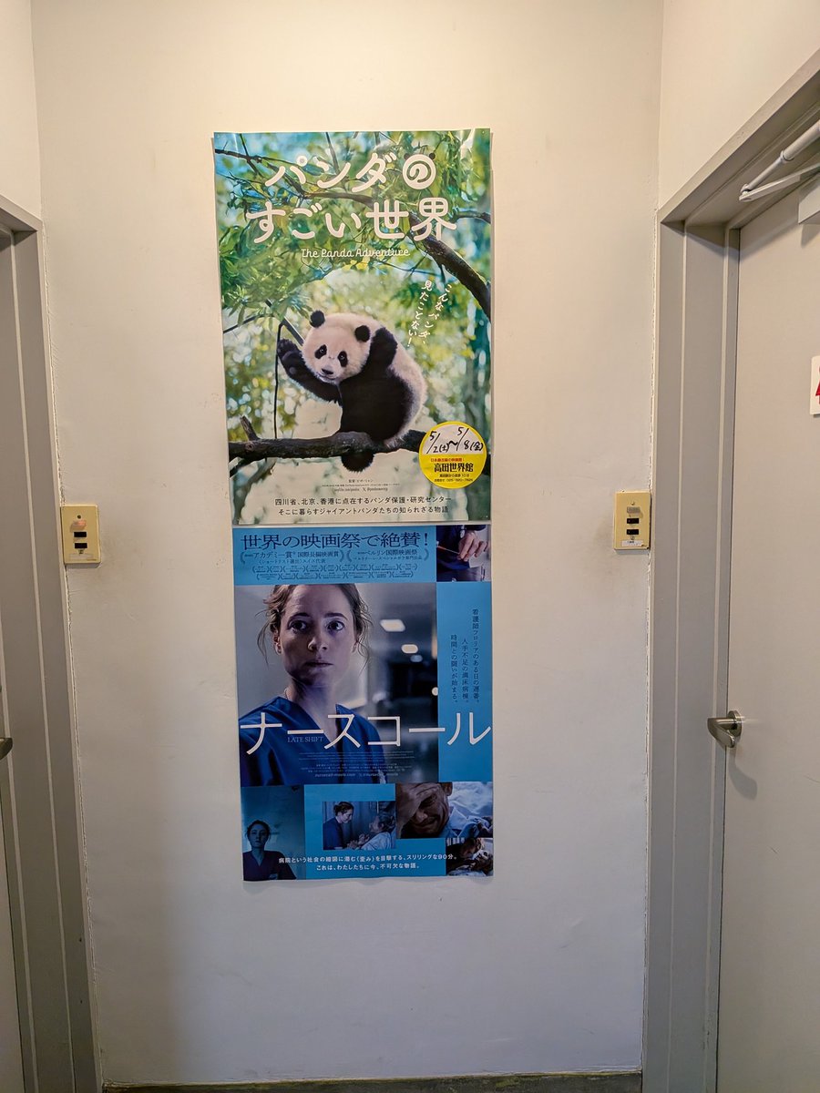 この並びにした理由をちょっと聞いてみたい🤔
（高田だからね🤭）