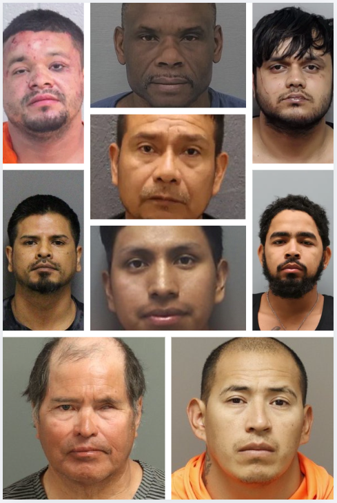 Illegal Alien Crimes tweet media