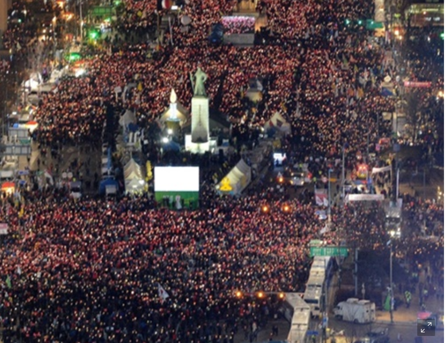 土佐の酔鯨 tweet media