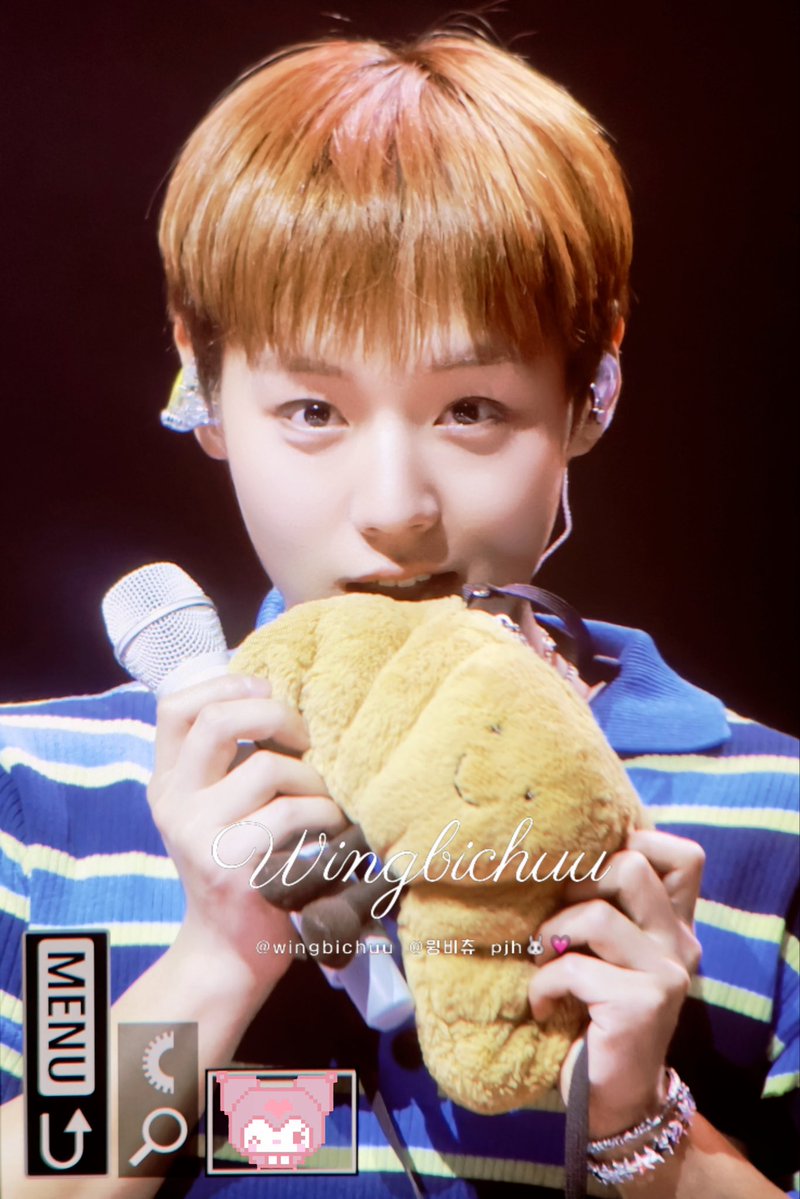 윙비츄 tweet media