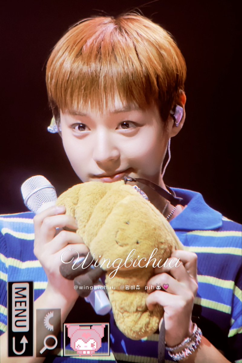 윙비츄 tweet media