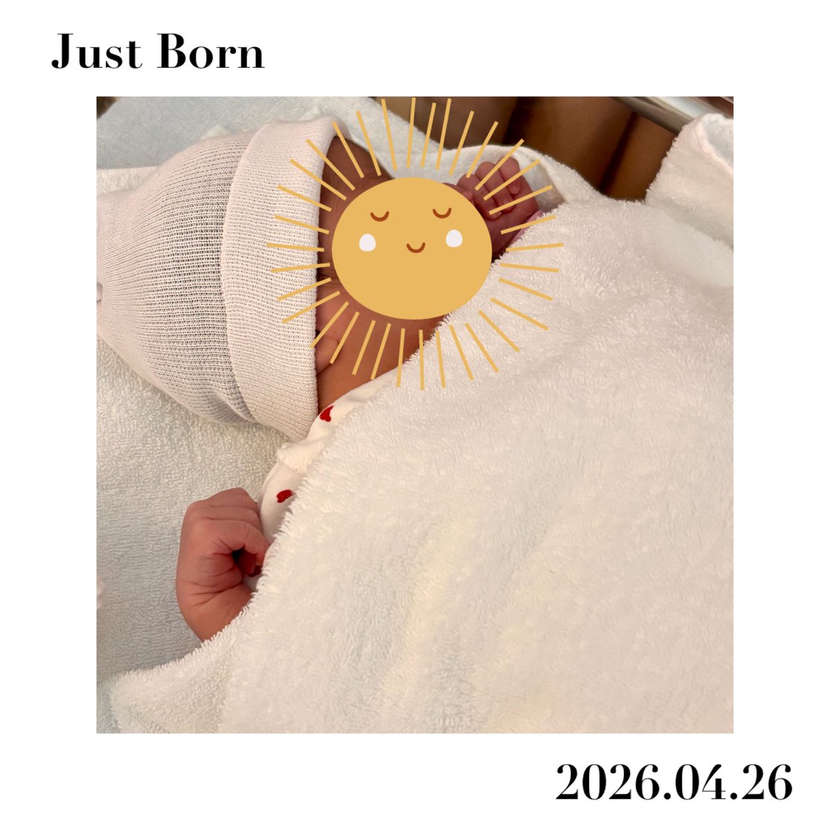 羊もなか ☺︎🐏39w→0m🫐 tweet media