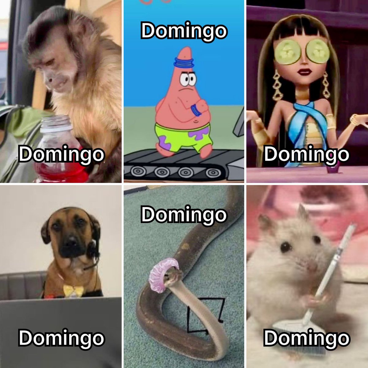 Guarromantico_'s tweet photo. Domingo. https://t.co/E7vi6zfNLe