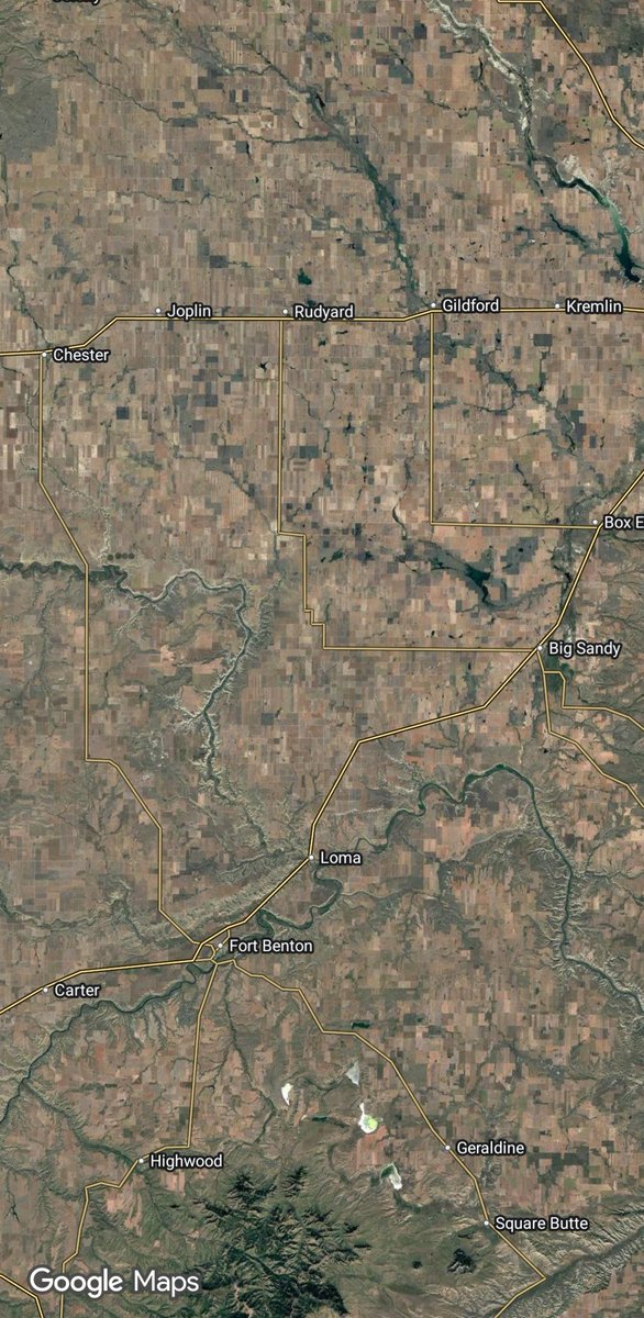 Gregor 🌹🇪🇺🇦🇹 tweet media