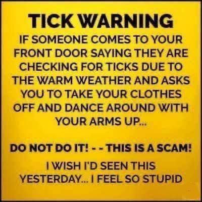 Scott Cheggs tweet media