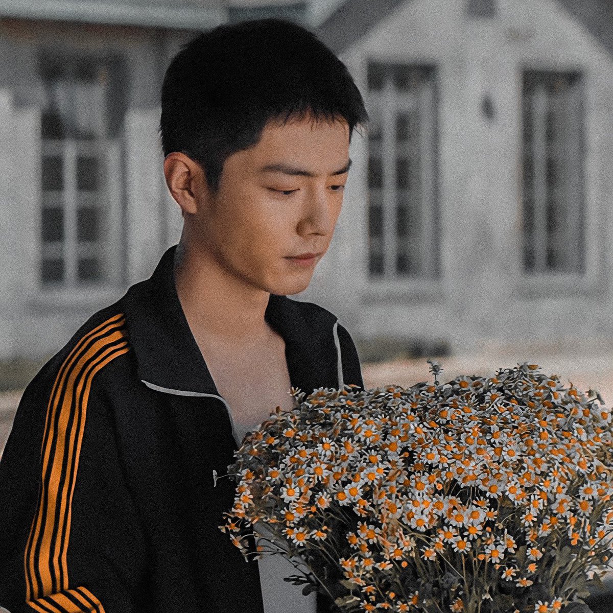 Tian | 肖战 🌸♡ tweet media