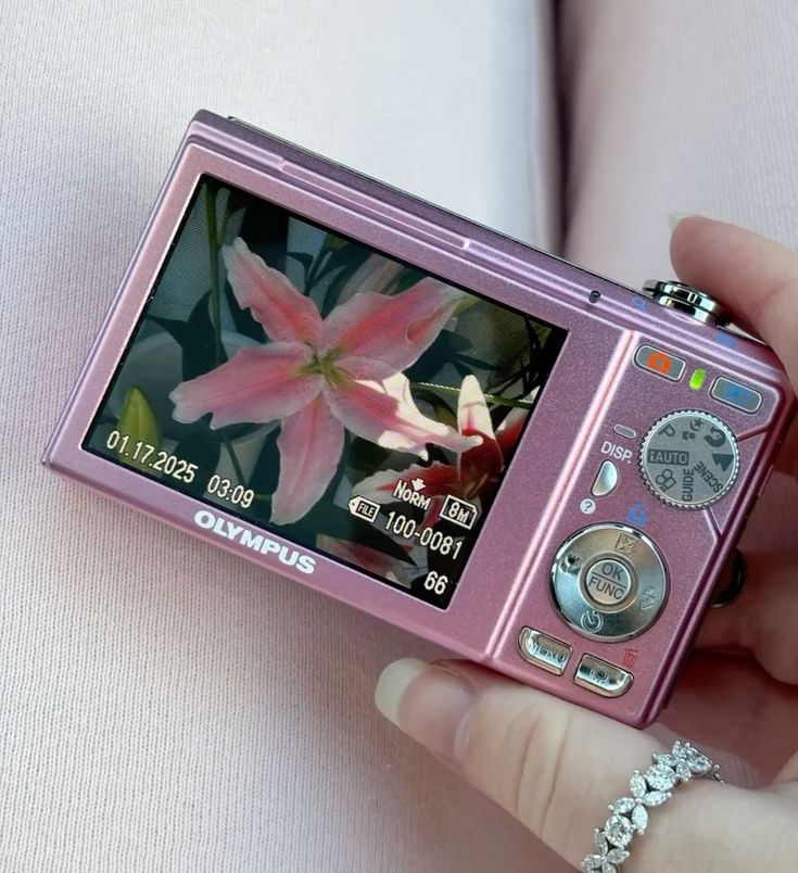 softly magical°🦢♡ tweet media