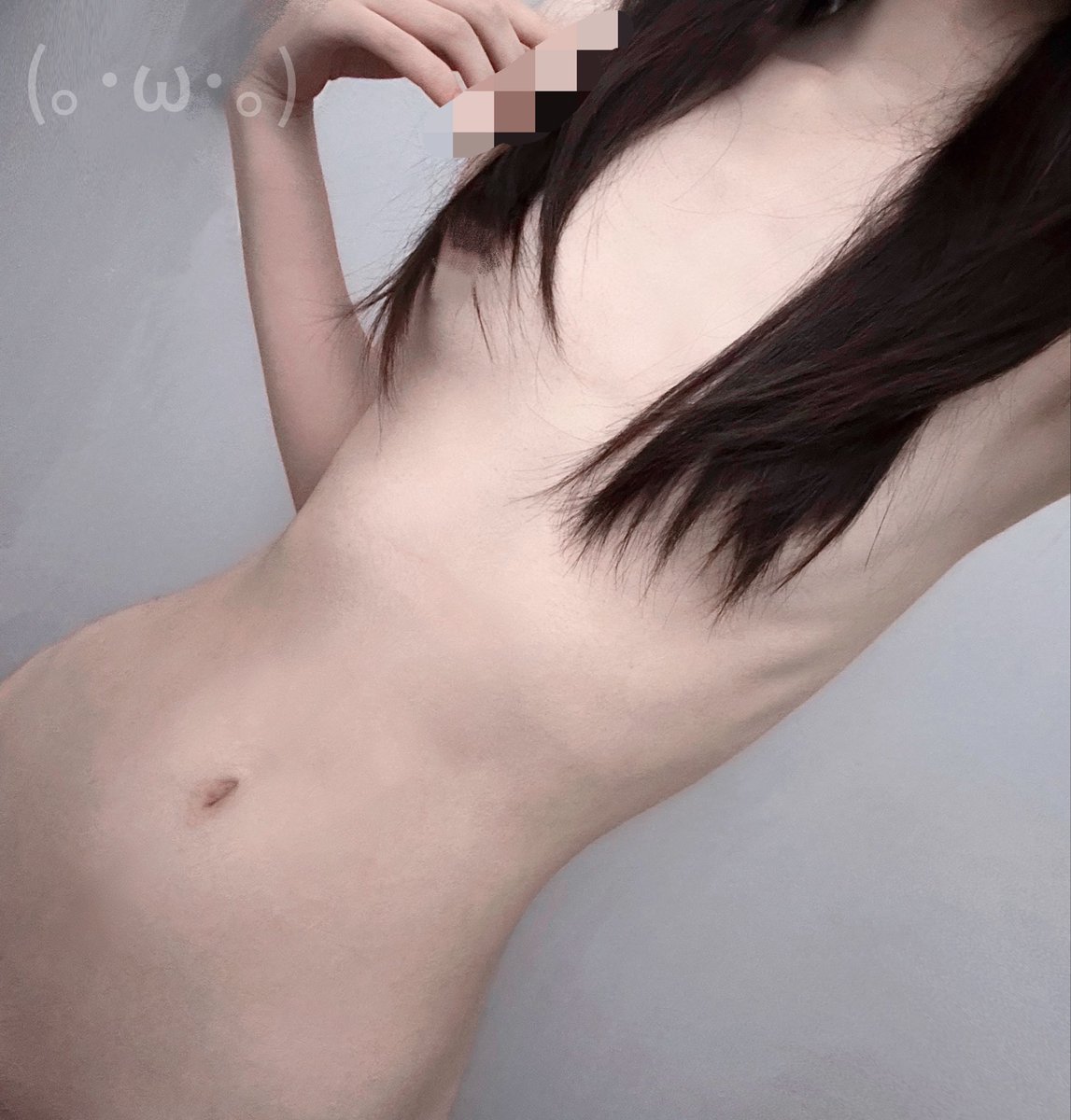 (｡･ω･｡) tweet media