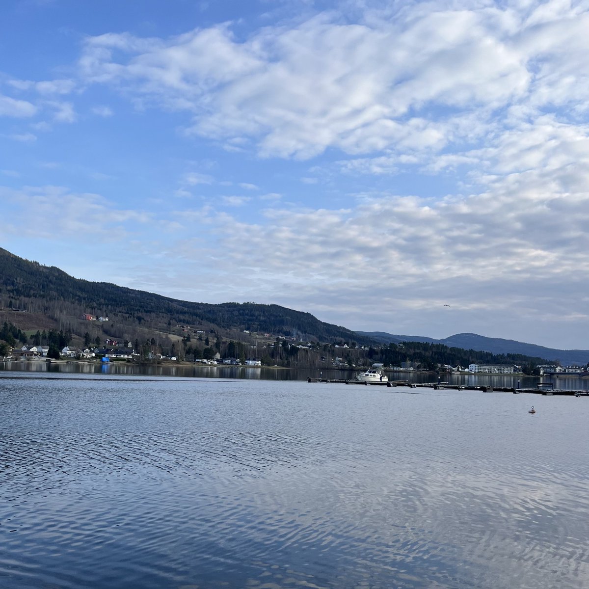 ShahidMAskerN's tweet image. Just a little view 💙🤍
#Norway