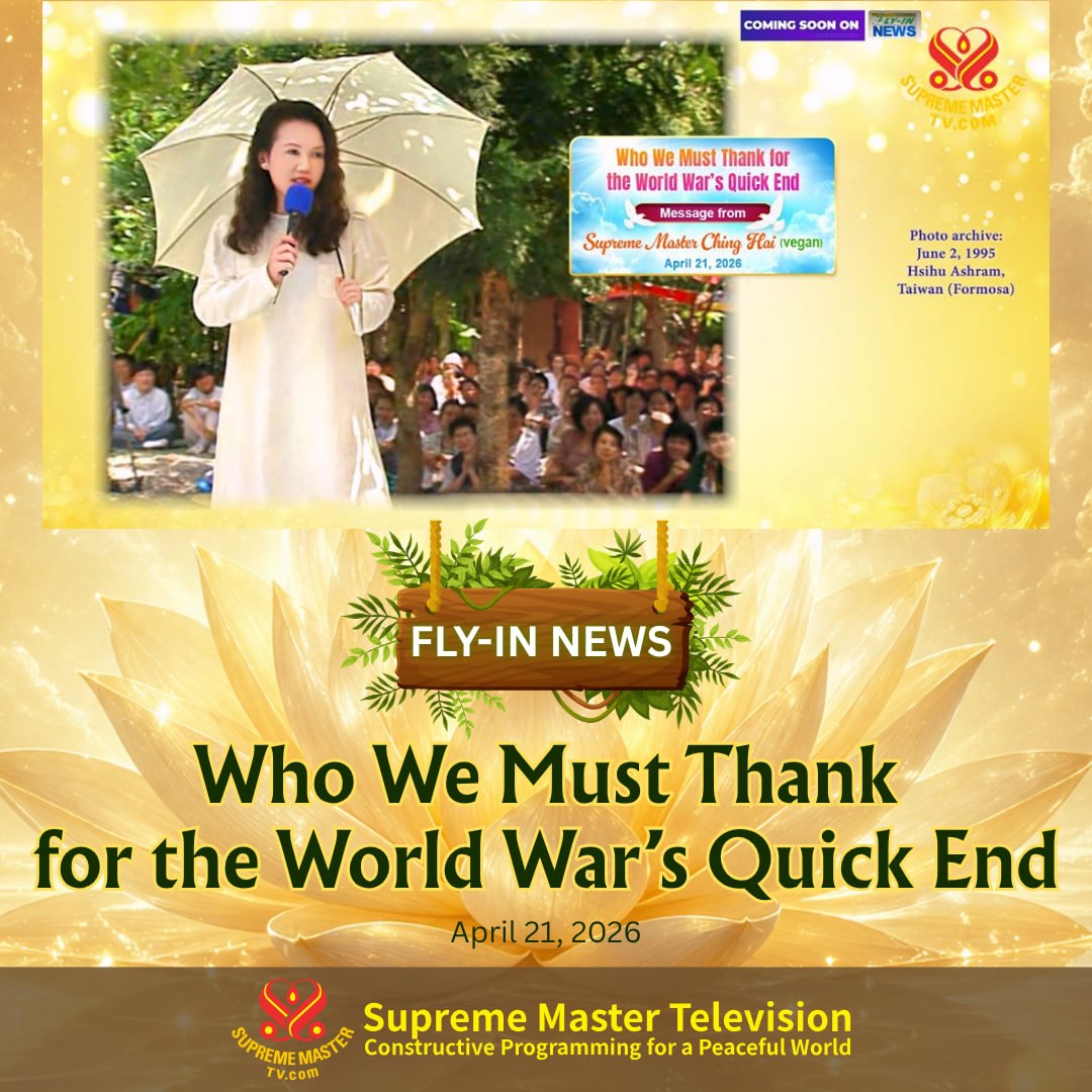 SupremeMasterTV.com tweet media