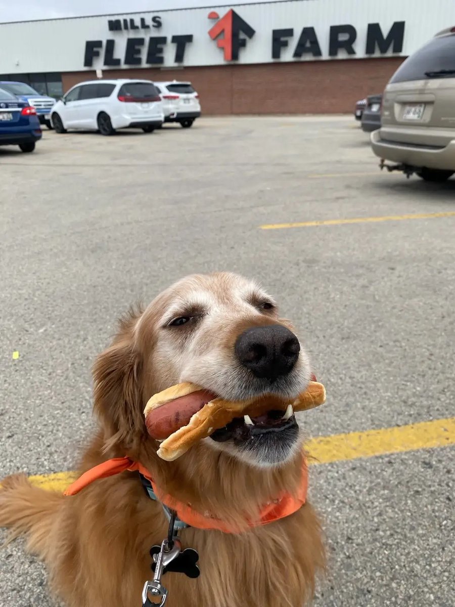 Fleet Farm tweet media