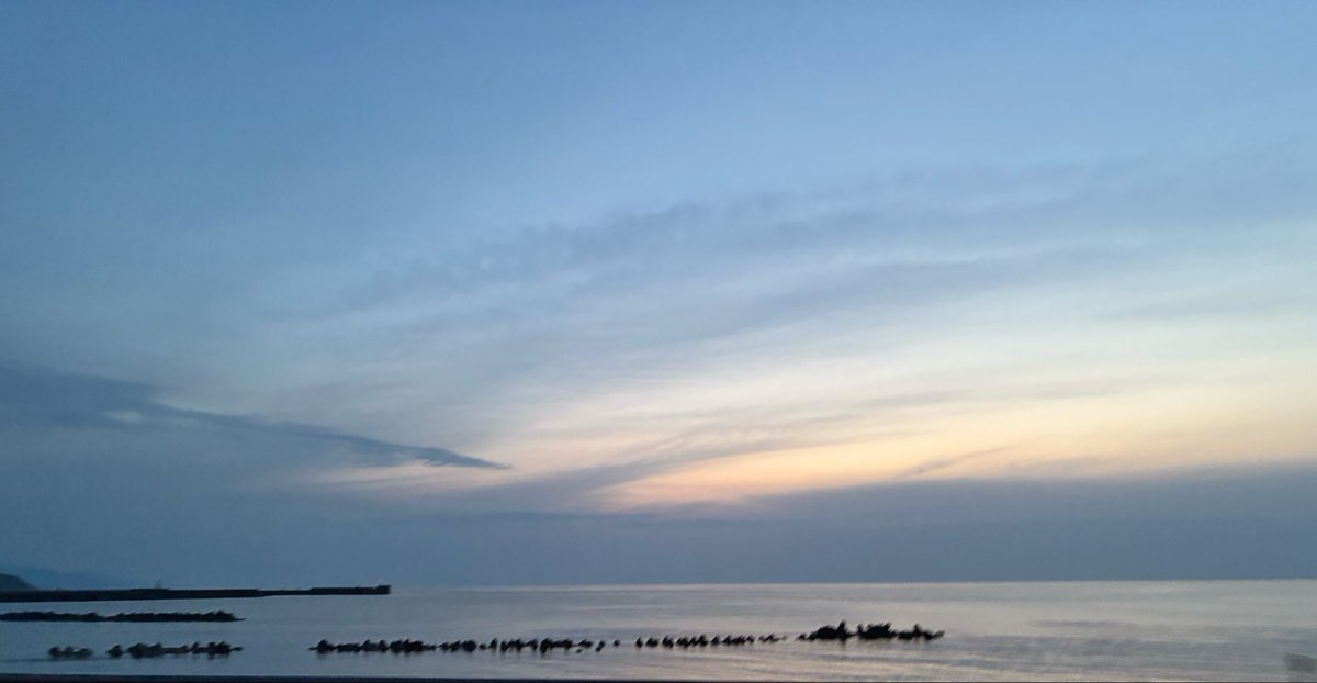 こもりん🐰🍀 tweet media