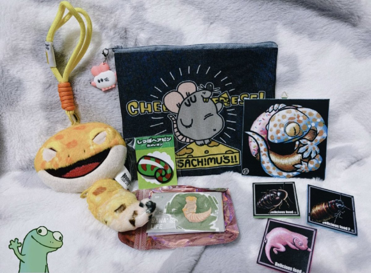 ___gerogerobaa's tweet photo. BIGレプの戦利品🦎🐀💛💚✨️
��愛い物たくさんゲットした！！！ https://t.co/eIGvlDAdmr