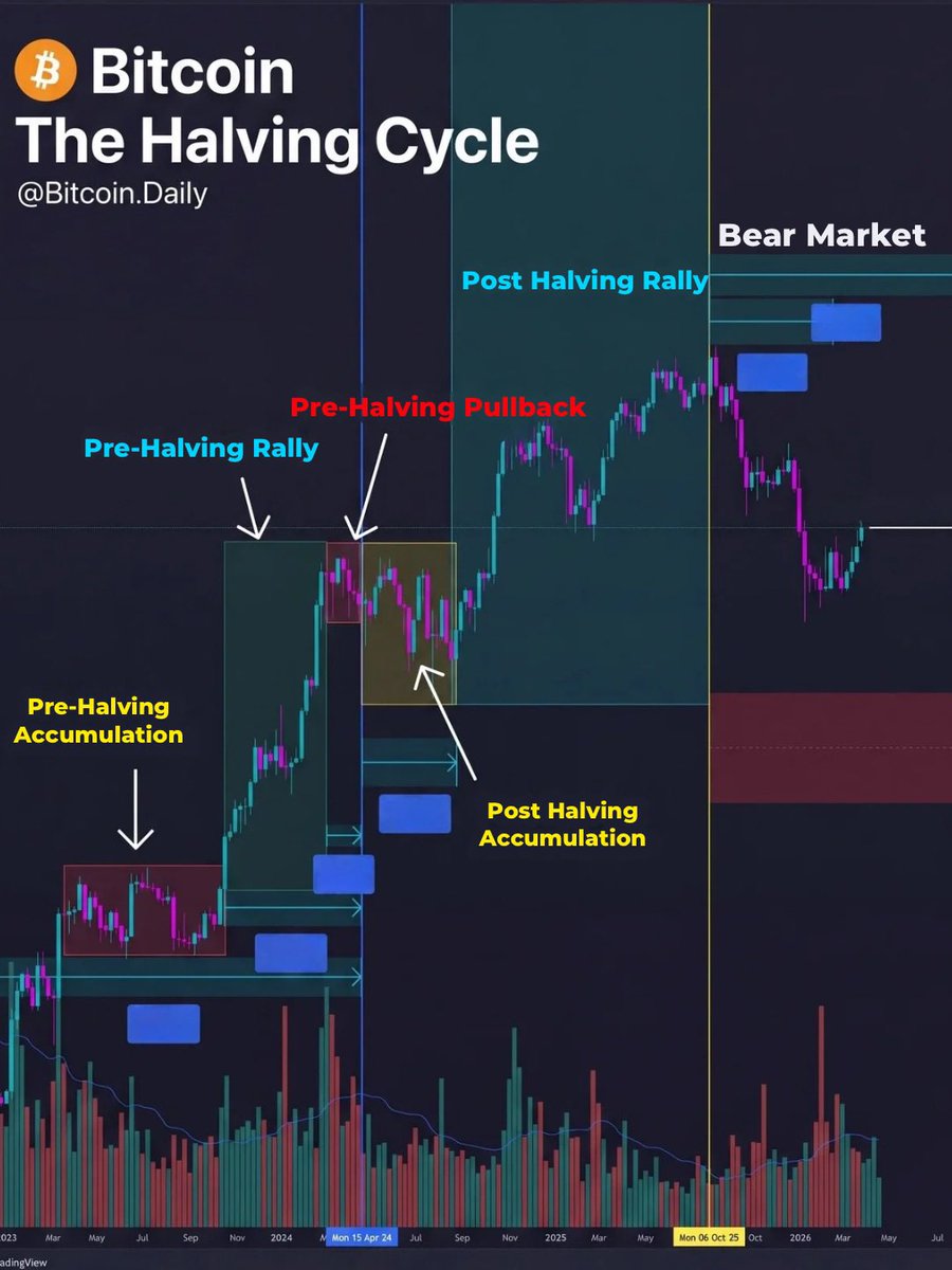 Bitcoin Daily tweet media