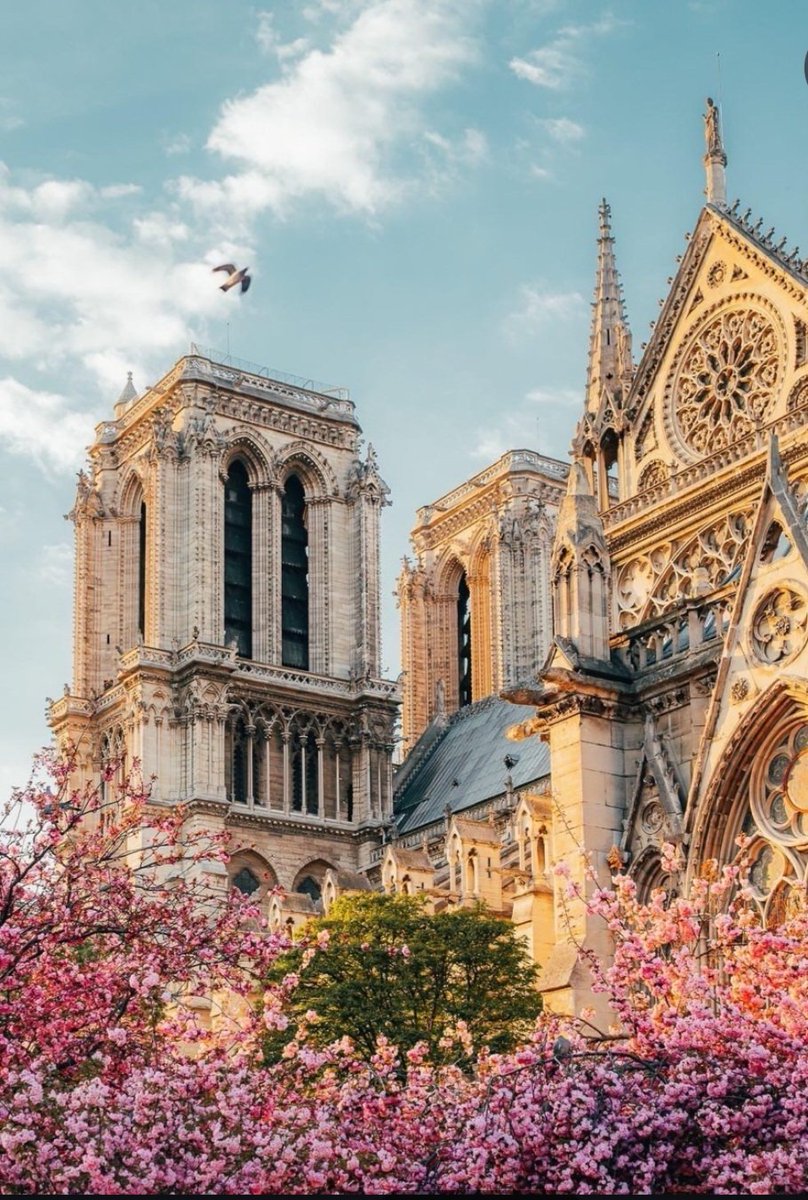 VIParis's tweet image. Happy Sunday!! #Paris #Relax #Breathe #Flowers #France #SundayVibes #Parisjetaime  📸  wonguy974 IG  🌺🌺