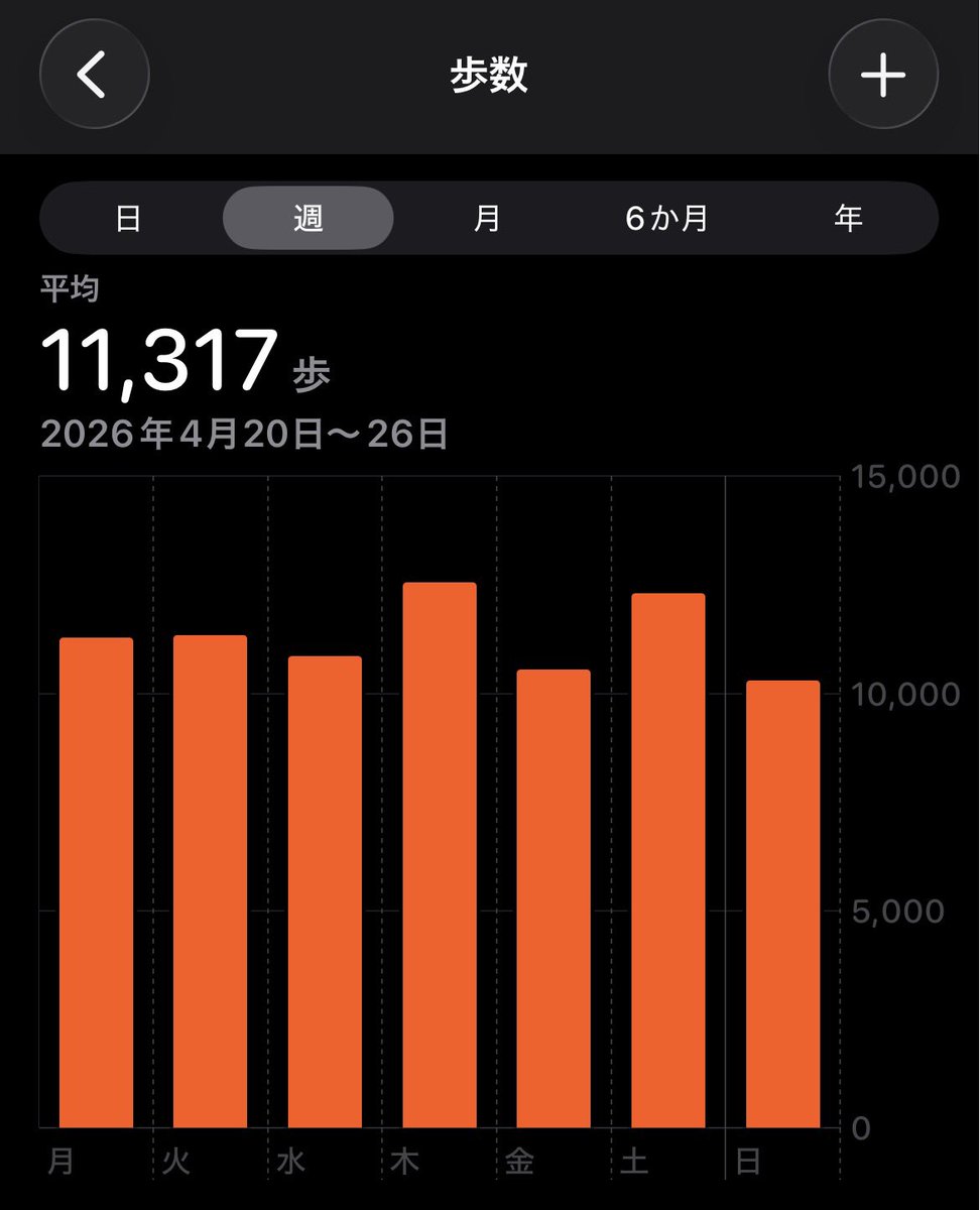 浅利ぱす太 tweet media