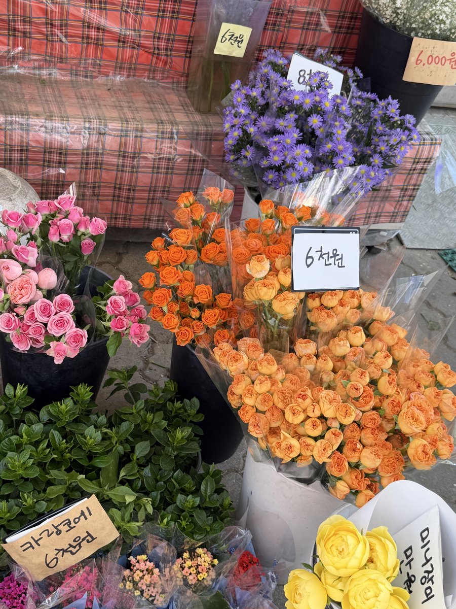 버거rrr (첫중) tweet media